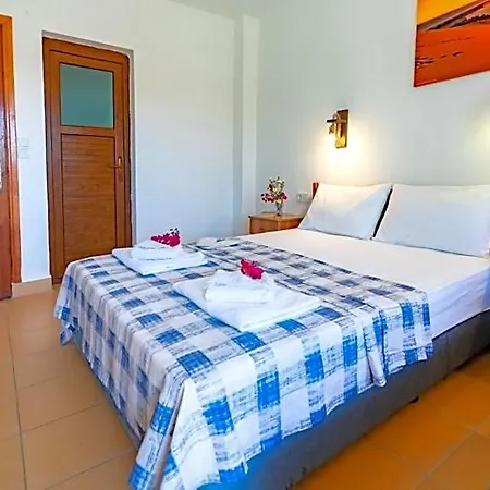 Patara Delfin
