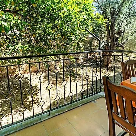 Patara Delfin 3* Gelemiş