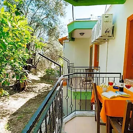 Patara Delfin Gelemiş