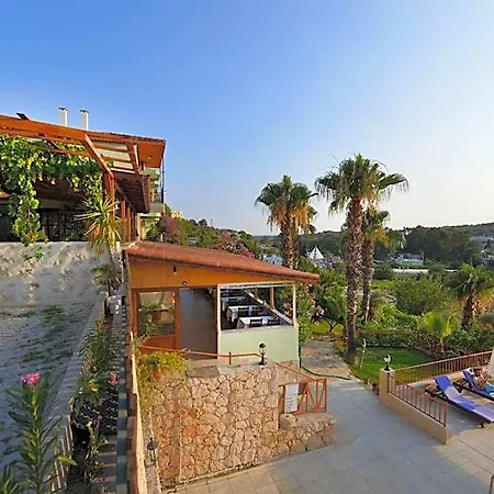 Patara Delfin Gelemiş