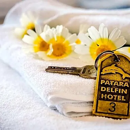 Patara Delfin 3* Gelemiş